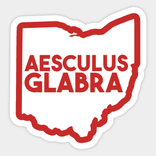 Ohio - Aesculus Glabra Sticker